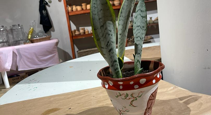activity image